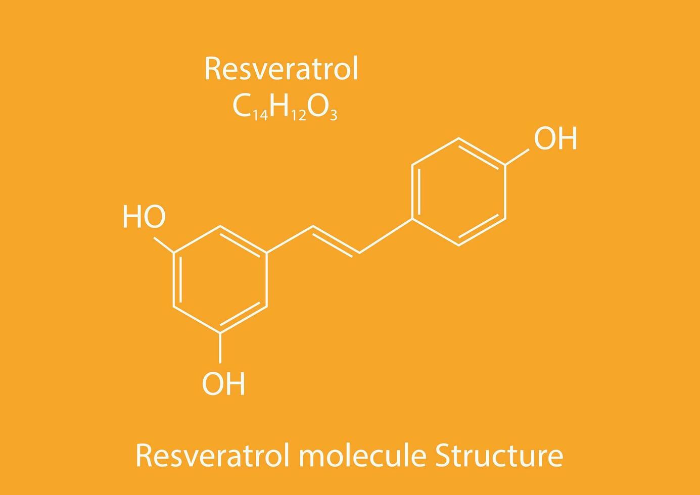 resveratrolo molecola scheletrico formula. creduto per avere un' numero di positivo Salute effetti. vettore illustrazione.