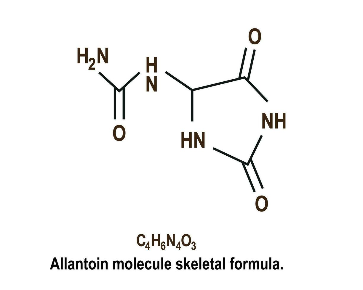 allantoina molecola scheletrico struttura formula. vettore illustrazione.