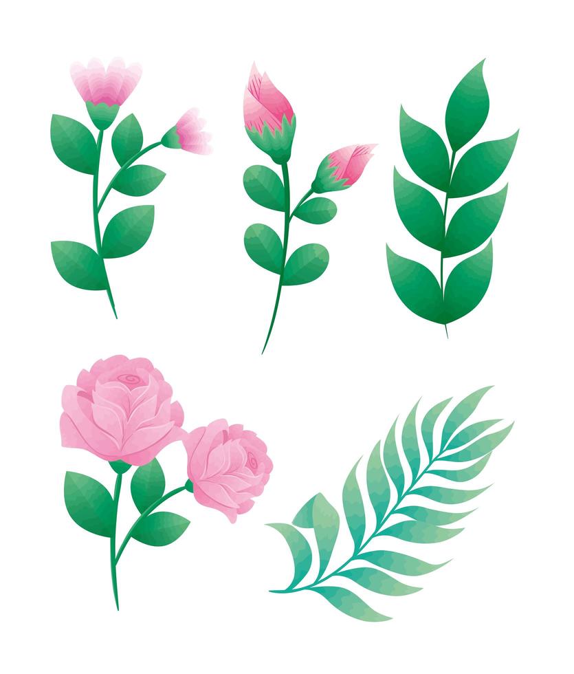 fascio di cinque bellissime rose icone decorative di fiori e foglie vettore