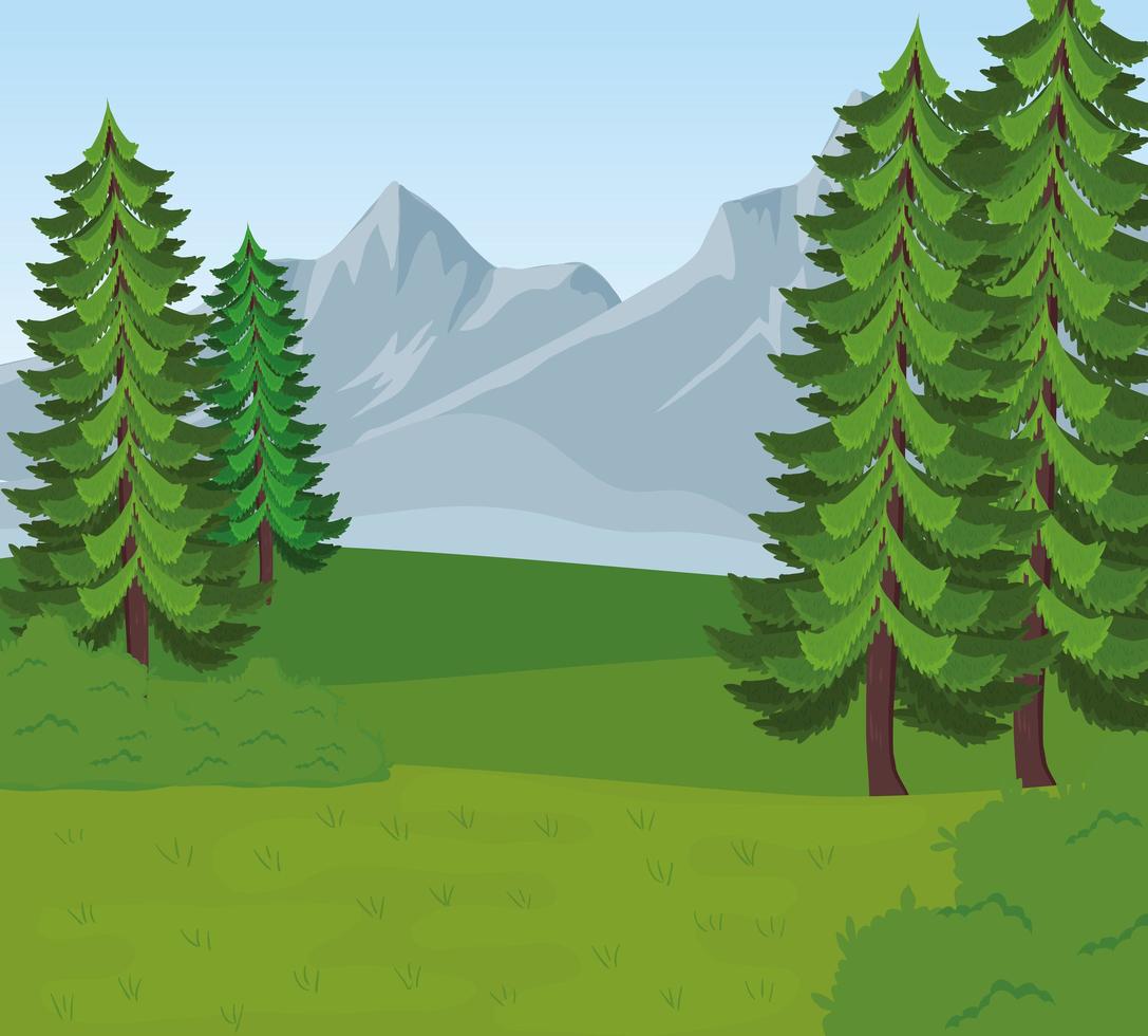 scena del paesaggio del campo di campo con alberi di pino vettore