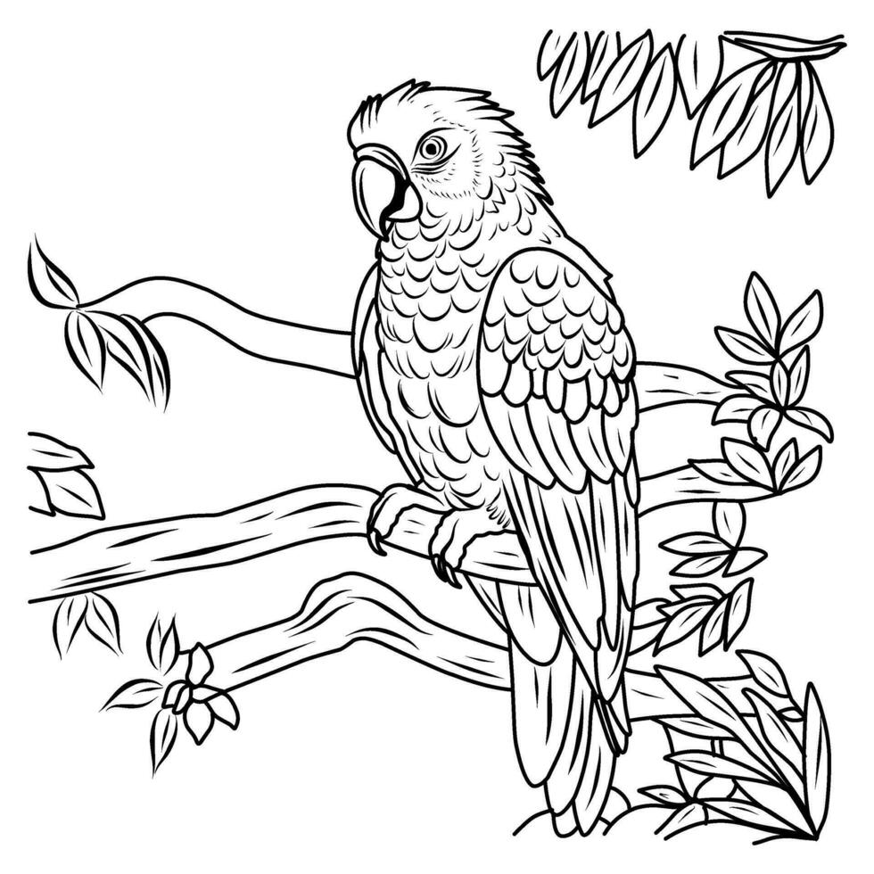 pappagallo ara colorazione pagina. uccello esotico colorazione pagina vettore