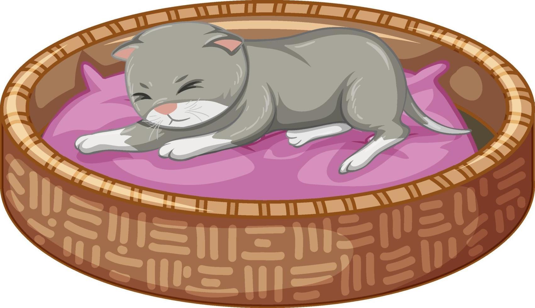 gattino grigio posa sul suo letto su sfondo bianco vettore