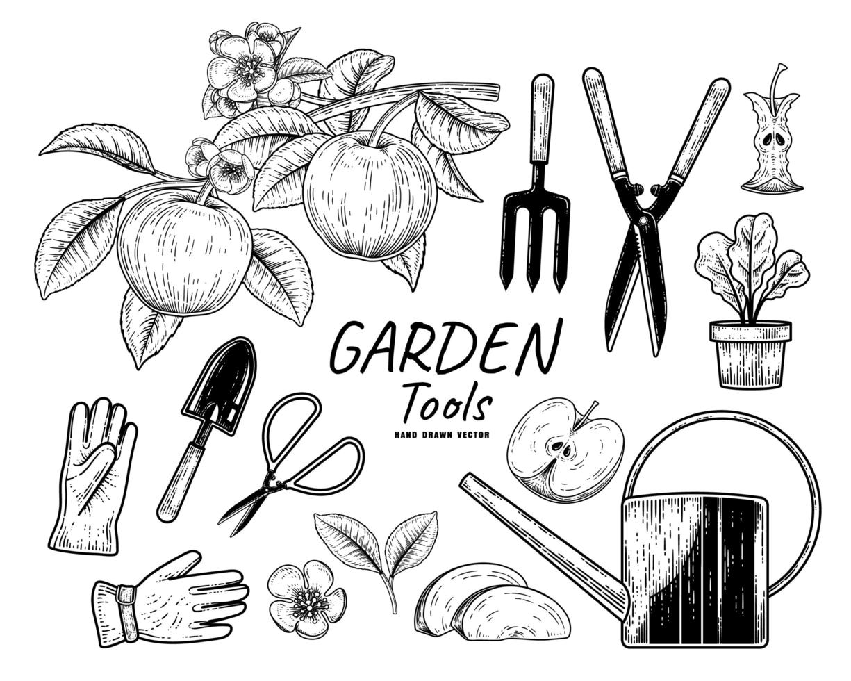 schizzo vettoriale set di attrezzi da giardinaggio. forchetta, cazzuola, vaso per piante, annaffiatoio, guanti, forbici, ramo di mela, metà, torsolo e fetta illustrazione disegnata a mano