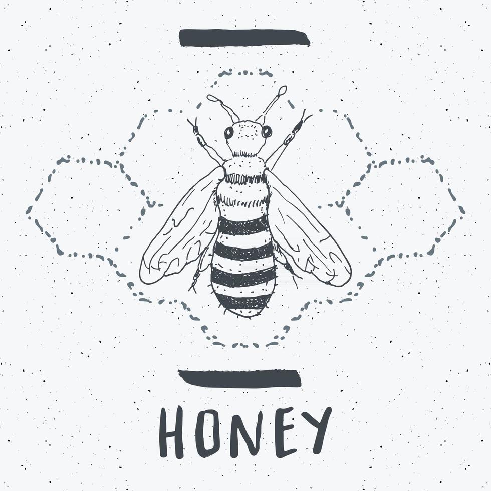 etichetta vintage, ape disegnata a mano, distintivo con texture grunge, modello logo retrò, illustrazione vettoriale di design tipografico