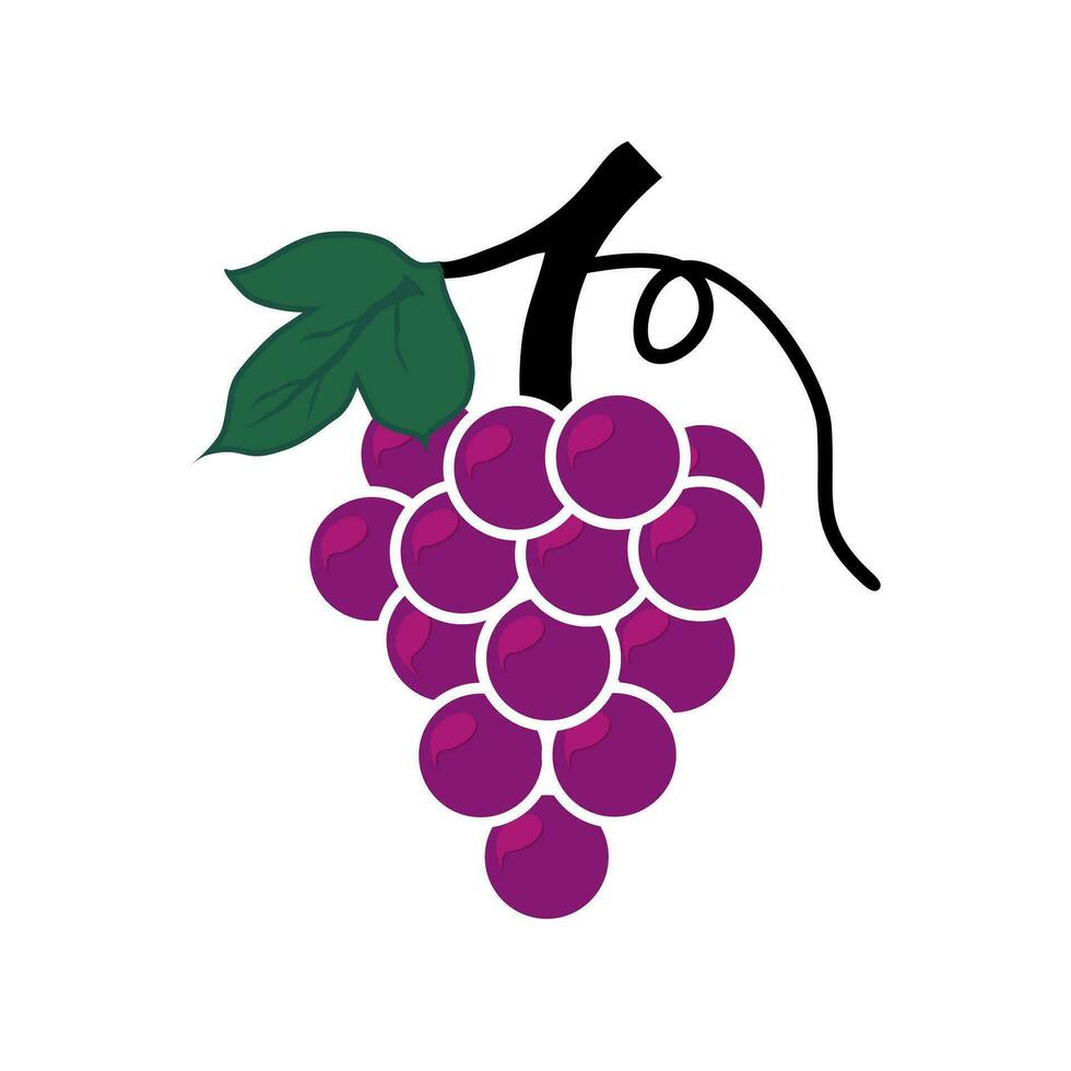 uva icona, vettore frutta illustrazione, natura vino. mazzo di vino uva con foglia icona per cibo applicazioni e siti web.