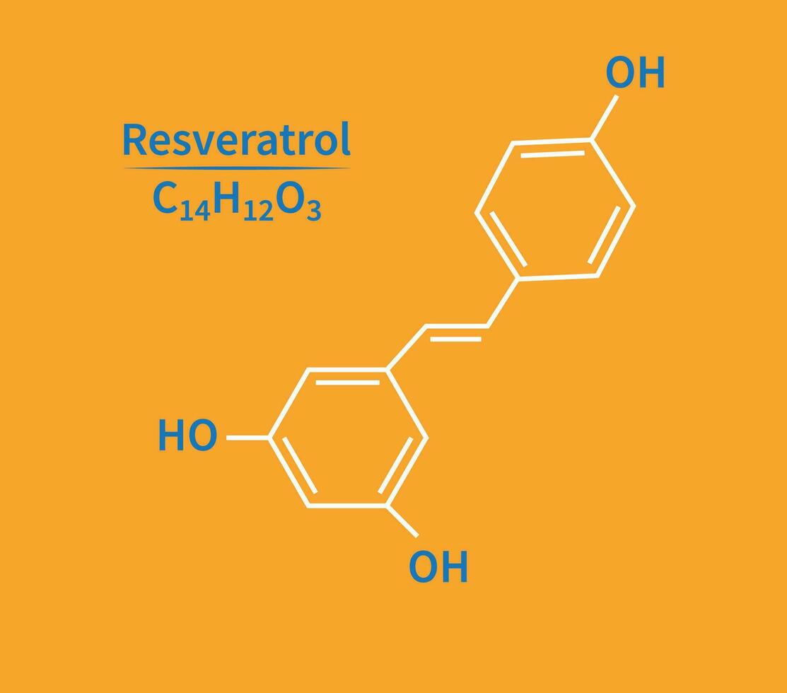 resveratrolo molecola scheletrico formula vettore illustrazione.