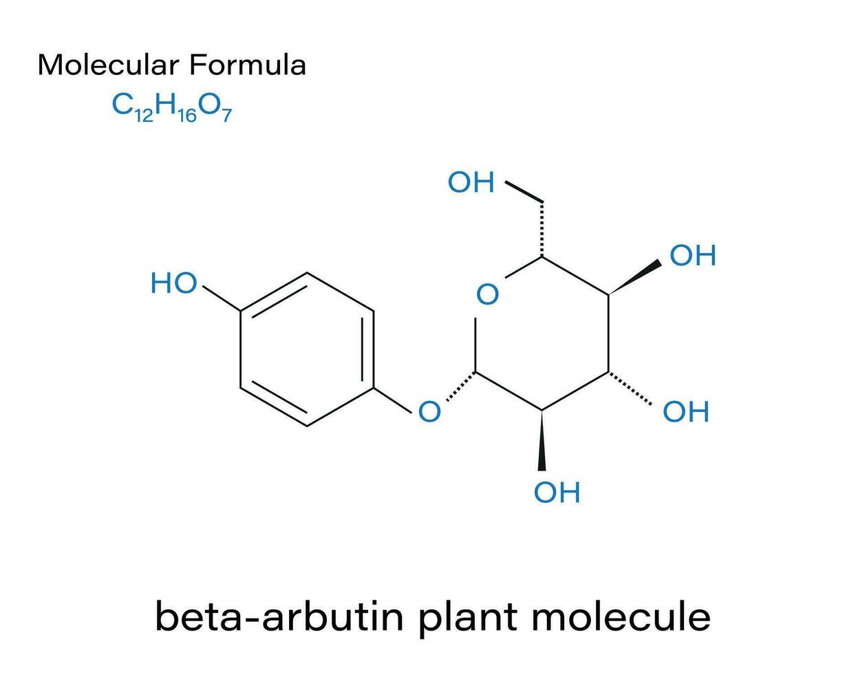 alfa-arbutina pianta molecola scheletrico formula. vettore