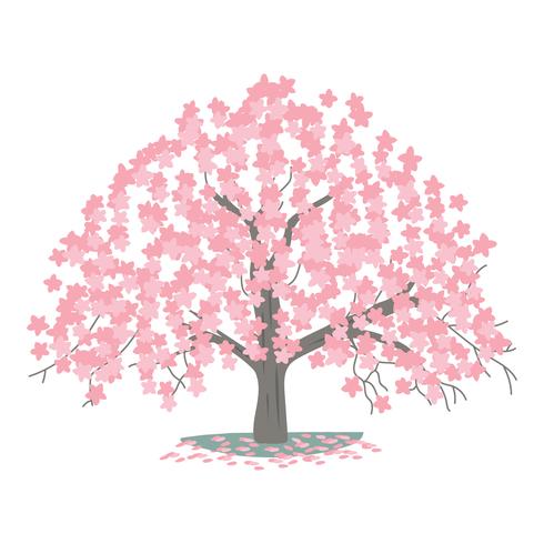 albero di ciliegio vettore