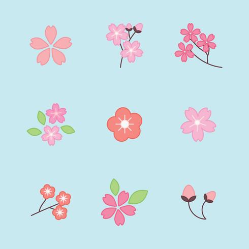 Set di fiori di ciliegio delineati vettore