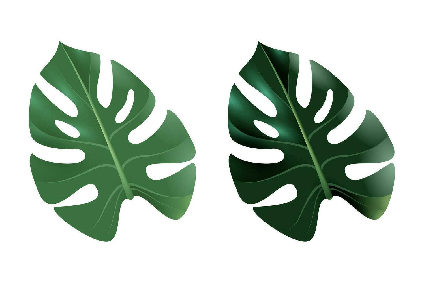 tropicale verde le foglie collezione mostri, realistico design isolato su bianca sfondo vettore