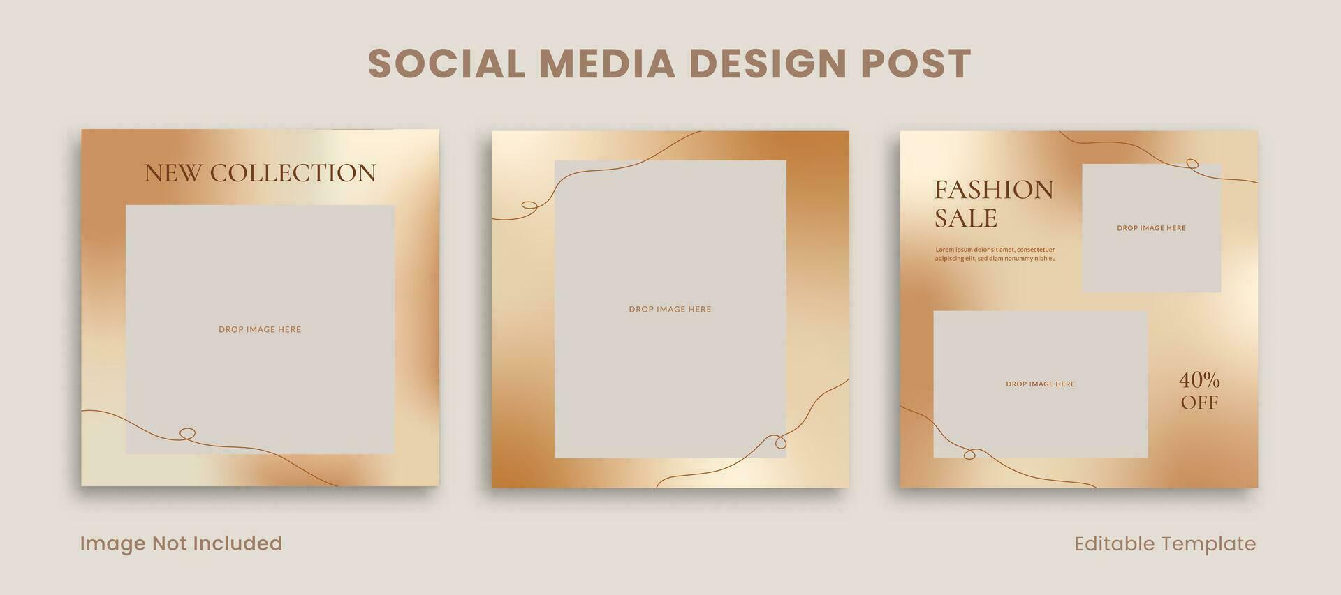 impostato di modificabile telaio sociale media design inviare modello decorato con d'oro pendenza e estetico linea. adatto per promozione, pubblicità, Catalogare Prodotto moda, gioielleria, bellezza vettore