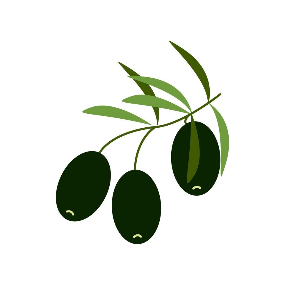 olive nere su un ramo cibo sano clipart vettoriali in stile piatto isolare su bianco