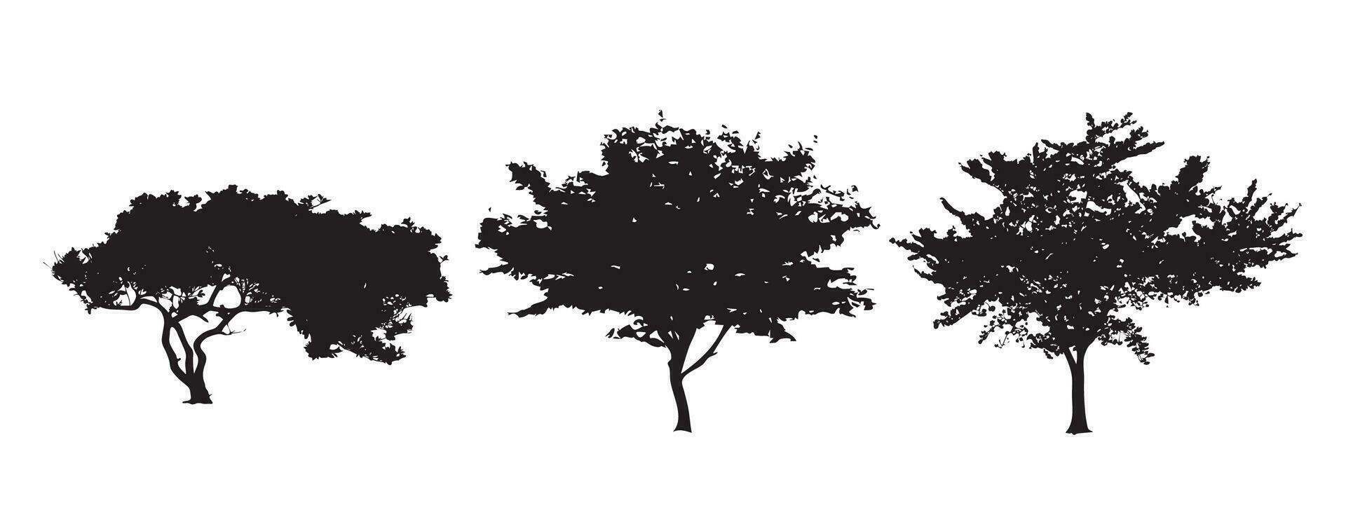 vettore impostato di pianta e albero silhouette.