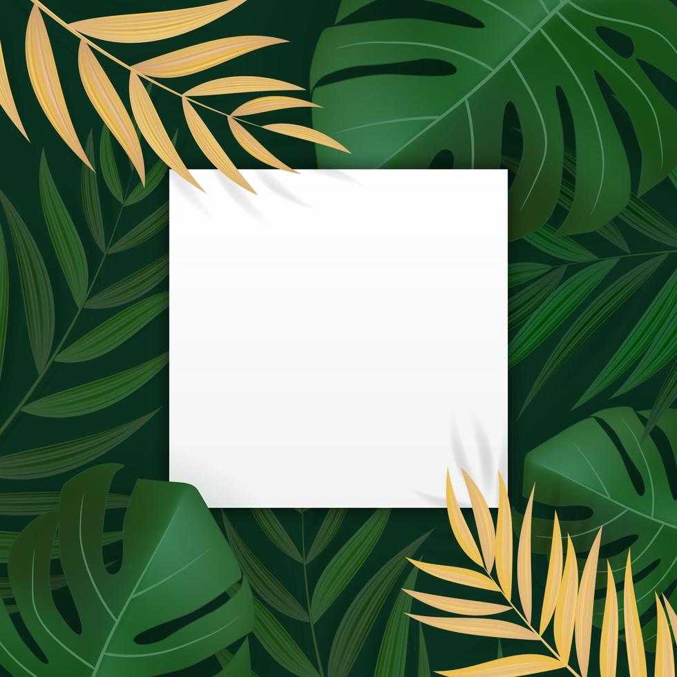 sfondo tropicale di foglia di palma verde realistico naturale con cornice vuota vuota. illustrazione vettoriale eps10