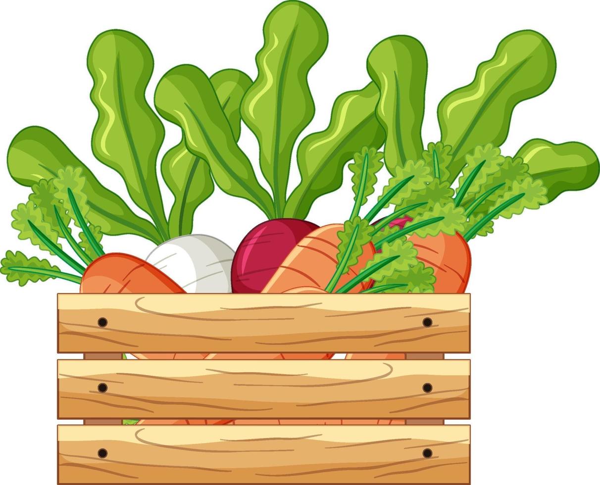 verdure in una cassa di legno in stile cartone animato isolato vettore