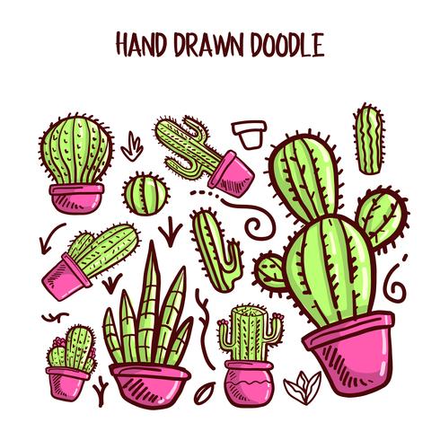 Vettore di cactus e succulente. Doodle illustration Set.