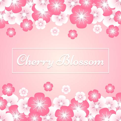 fiori di sakura primavera fiore di ciliegio su sfondo rosa vettore