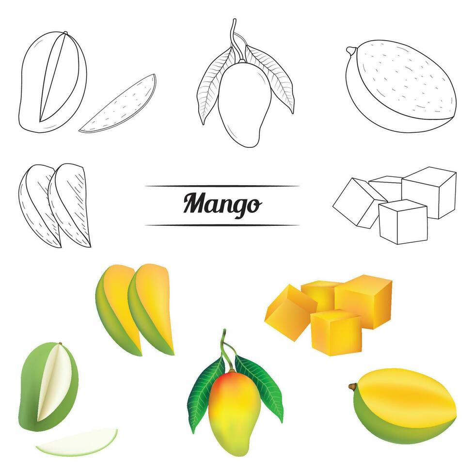 realistico Mango impostato con le foglie vettore