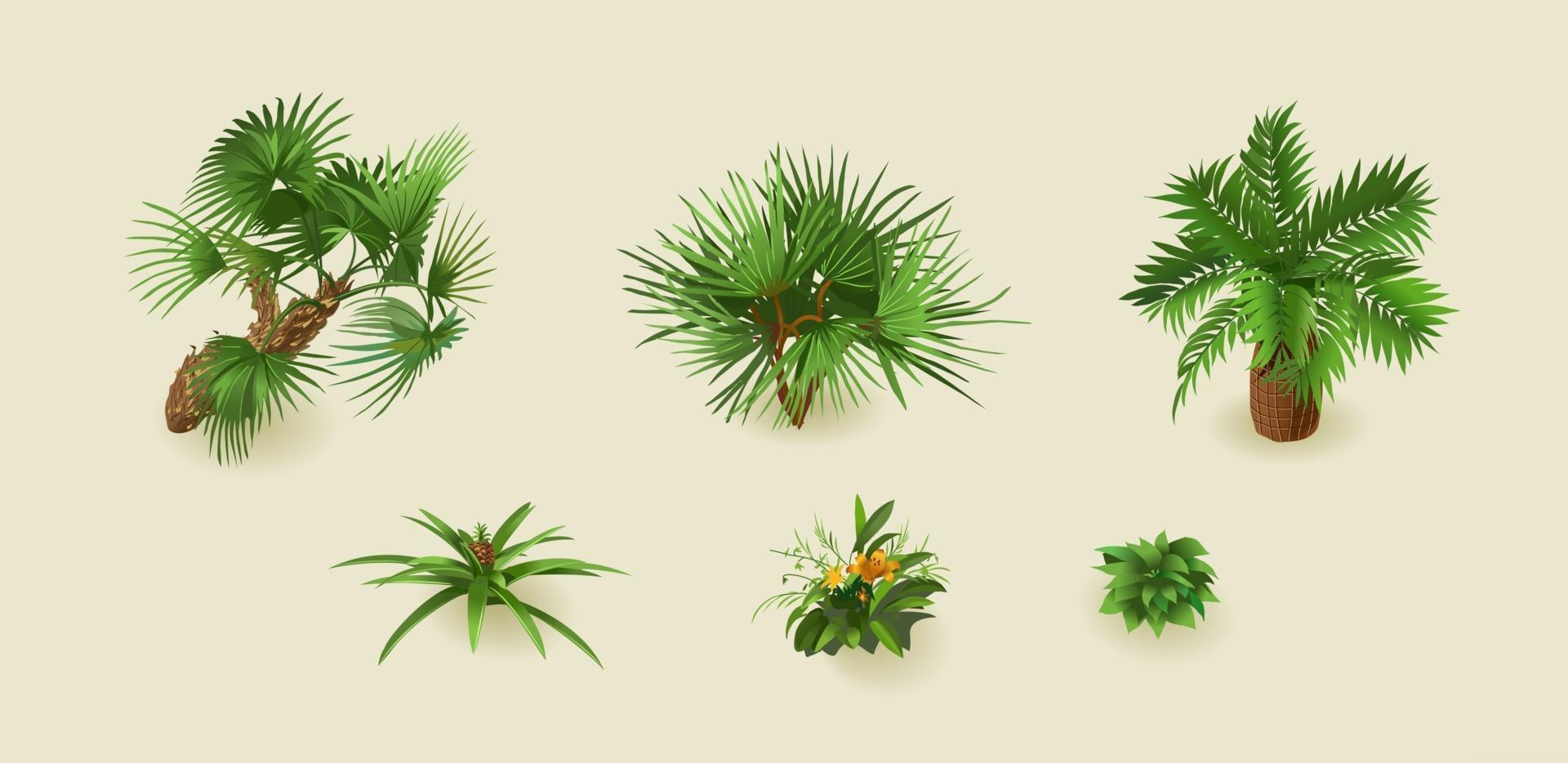 piante di palma tropicali su uno sfondo chiaro per l'interior design in isometrica. illustrazione vettoriale