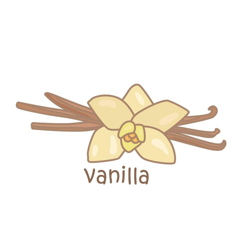 alfabeto v per vaniglia vocabolario scuola lezione cartone animato illustrazione vettore clipart etichetta