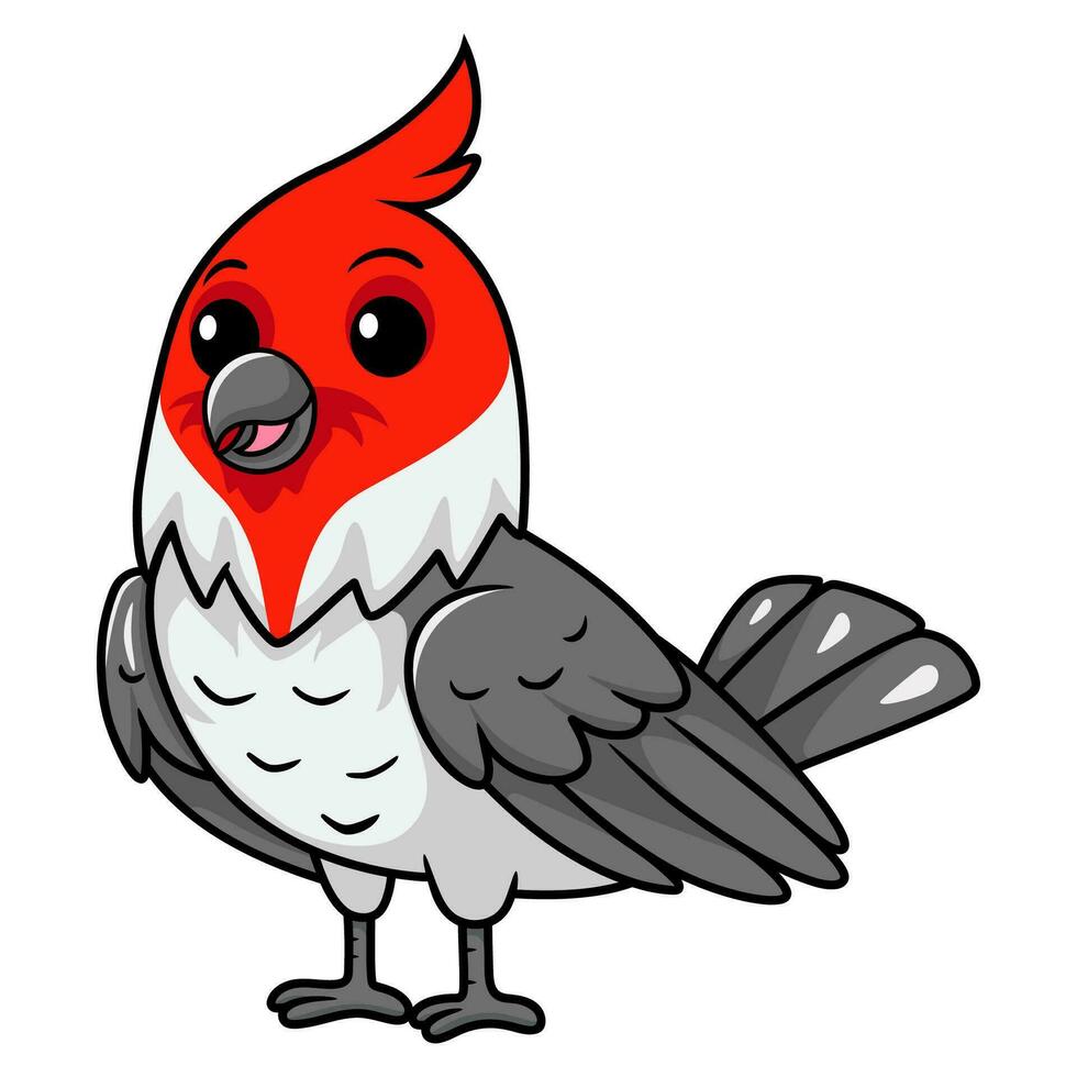 carino rosso crestato cardinale uccello cartone animato vettore