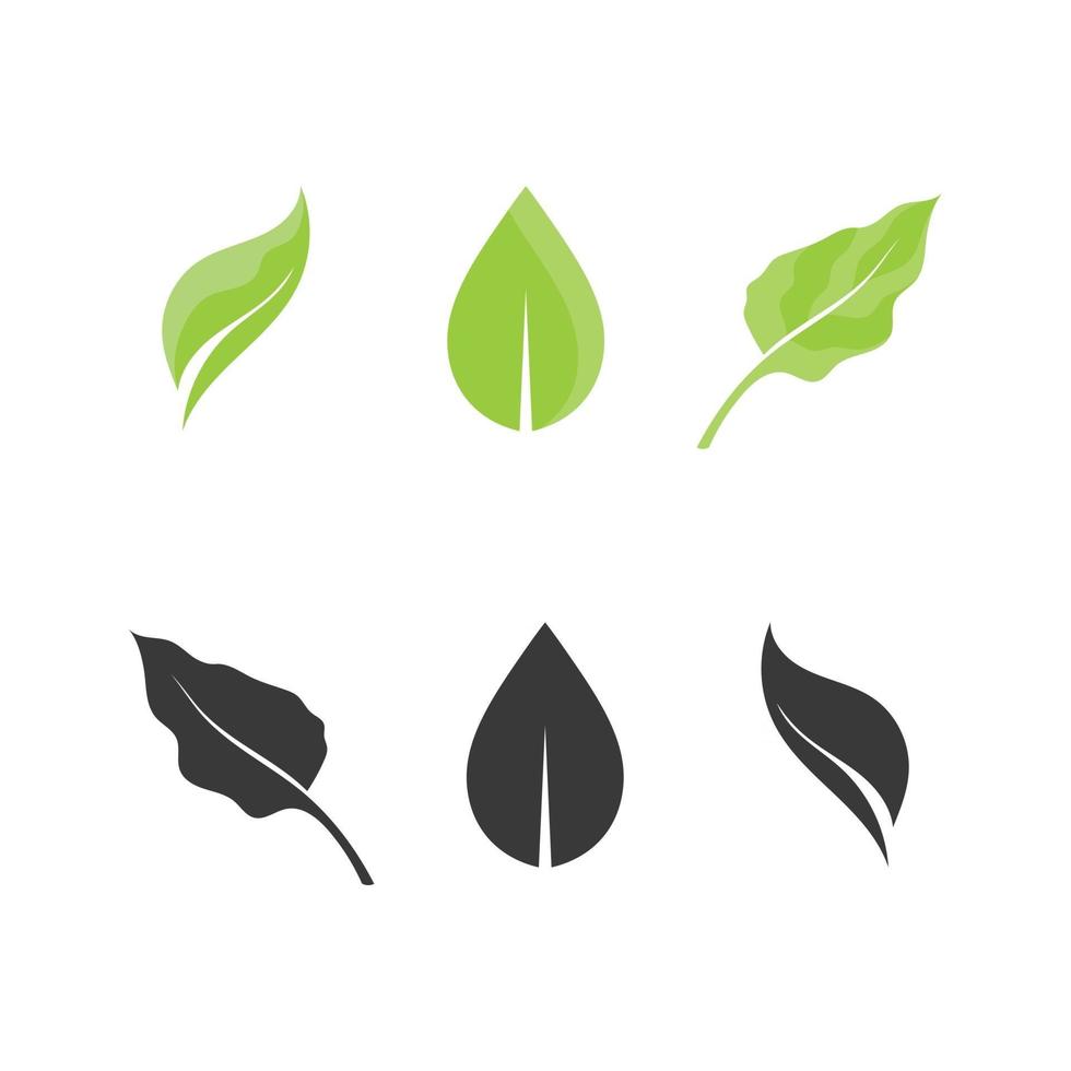 albero e foglia vettore icona design eco friendly concept logo