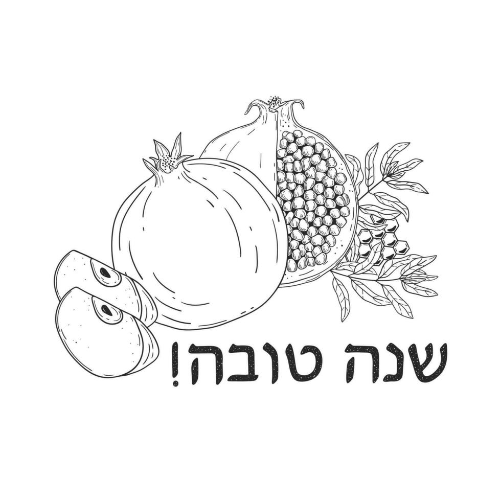 ebraico nuovo anno Rosh hashanah cartolina o invito modello con mano disegnato Melograno, Mela pezzi, favi e saluto Messaggio shana tova vettore