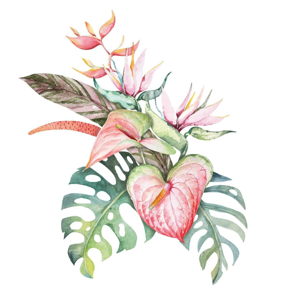 tropicale fiore mazzo acquerello.composizione di anthurium, Monstera le foglie e uccello nel Paradiso fiori.giungla foresta nozze bouquet.aloha fiore nel estate.mano disegnato acquerello. vettore