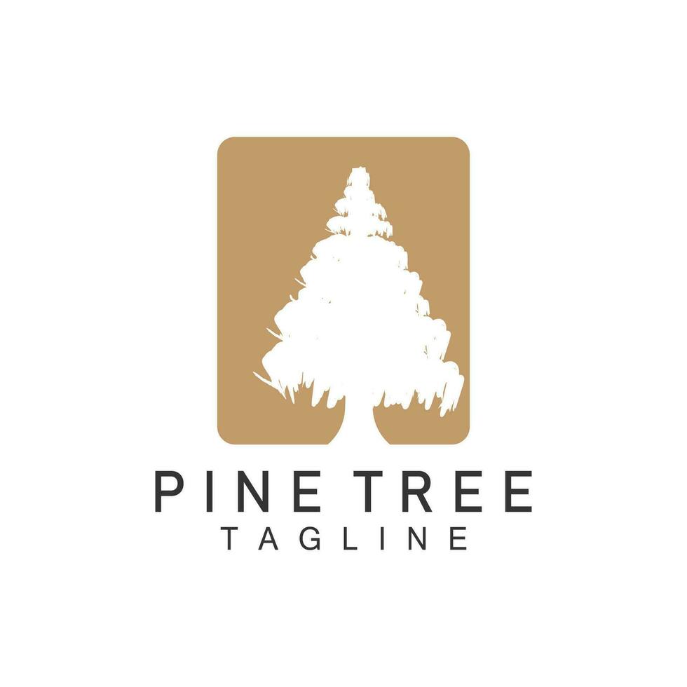 pino albero logo, vettore design illustrazione modello sempreverde albero Vintage ▾ silhouette foresta