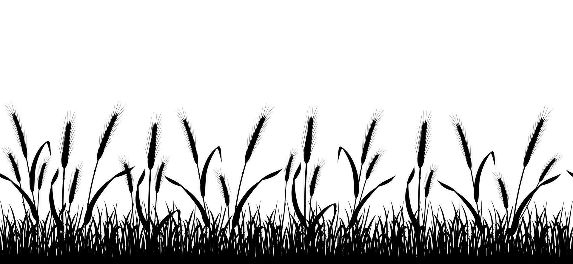 Grano senza soluzione di continuità campo silhouette. segale confine. arredamento con agricolo vegetazione. alto erbe. vettore