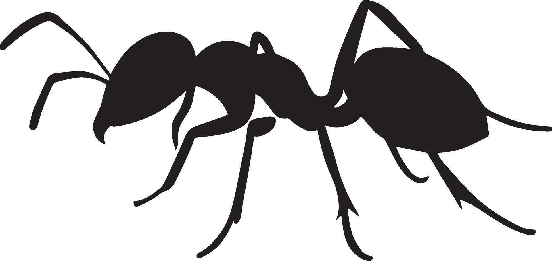 formica vettore silhouette illustrazione nero colore