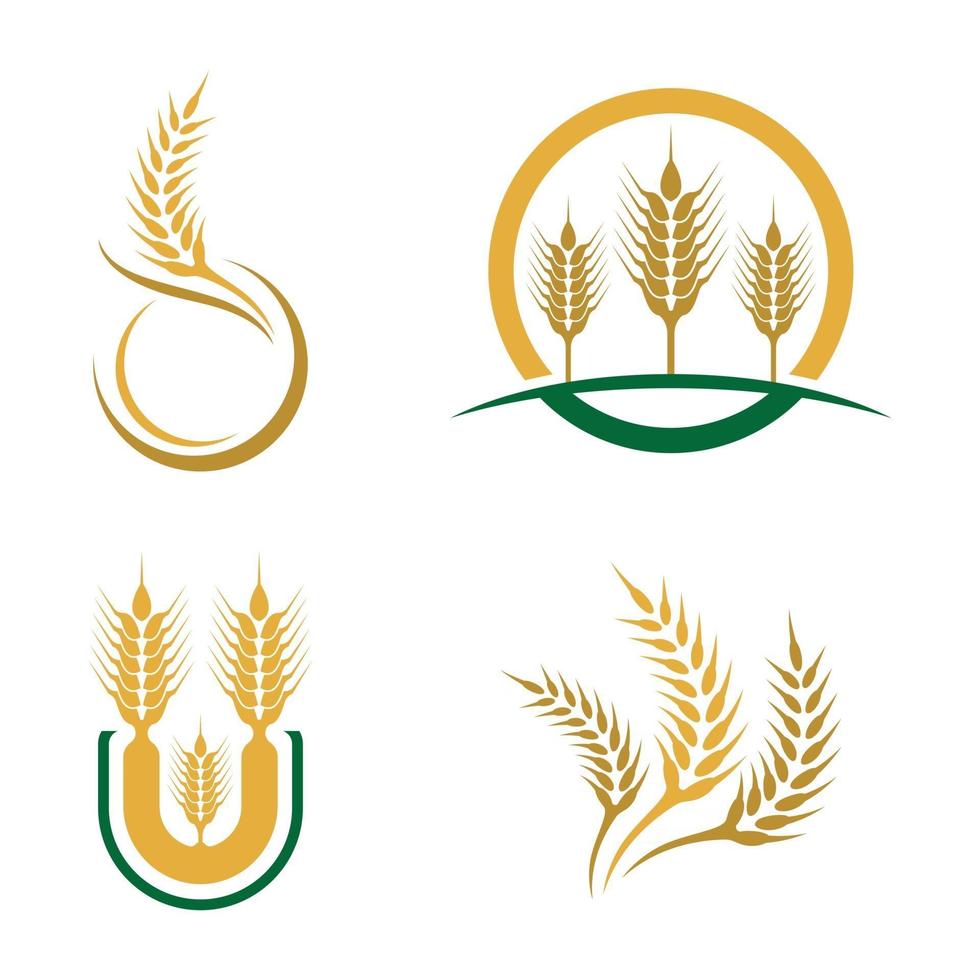 immagini del logo di grano vettore