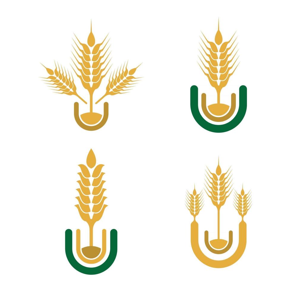 immagini del logo di grano vettore