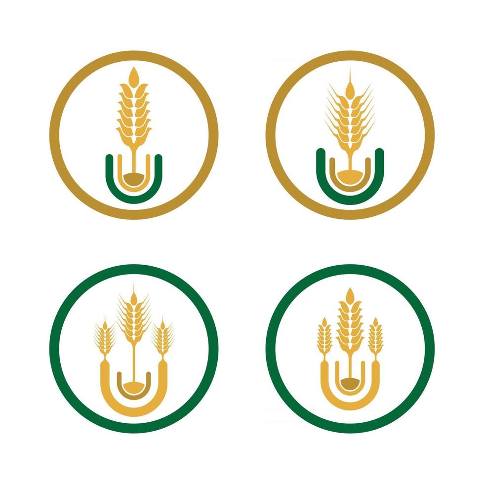 immagini del logo di grano vettore