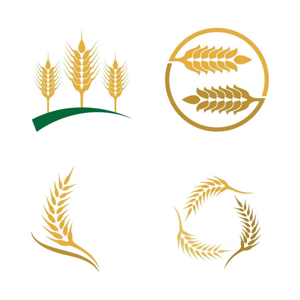 immagini del logo di grano vettore