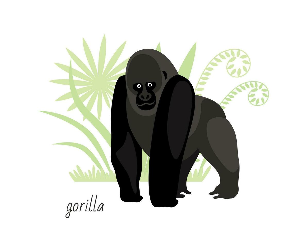 animale gorilla isolato su bianca sfondo. tropicale impianti. vettore piatto illustrazione