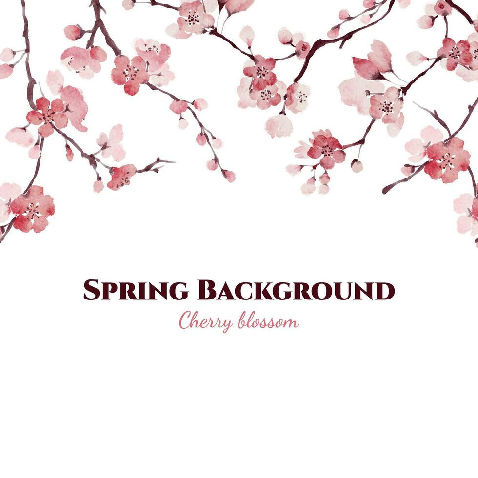 acquerello sakura vettore confine, sfondo o bandiera design con rosa Sherry fiore. perdere stile primavera fioritura ciliegia albero fiori carta o invito sfondo.