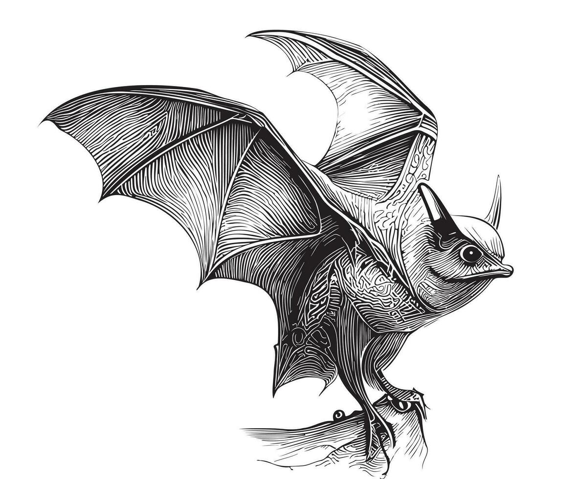 pipistrello volante mano disegnato schizzo vettore illustrazione Halloween vacanza