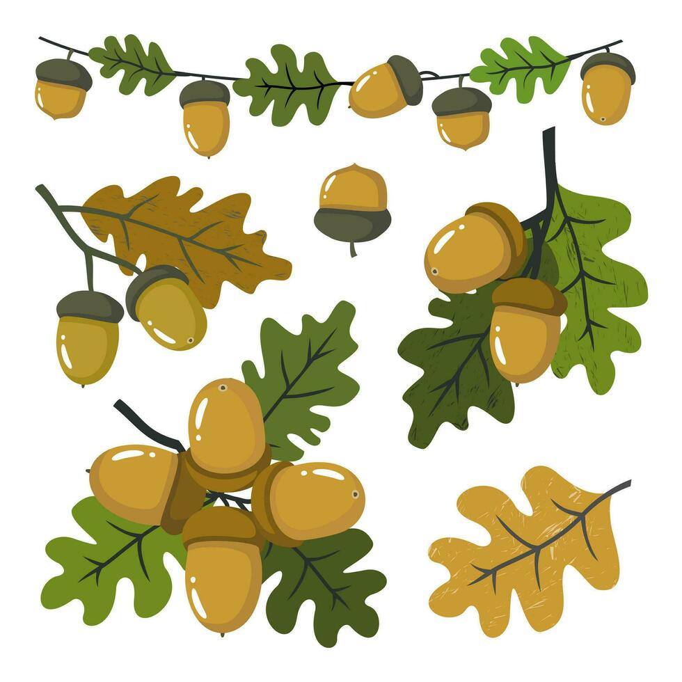 quercia ghirlanda con verde le foglie e ghiande. illustrato vettore clipart.