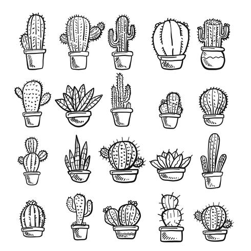 Vettore di cactus e succulente. Doodle illustrazione Set.