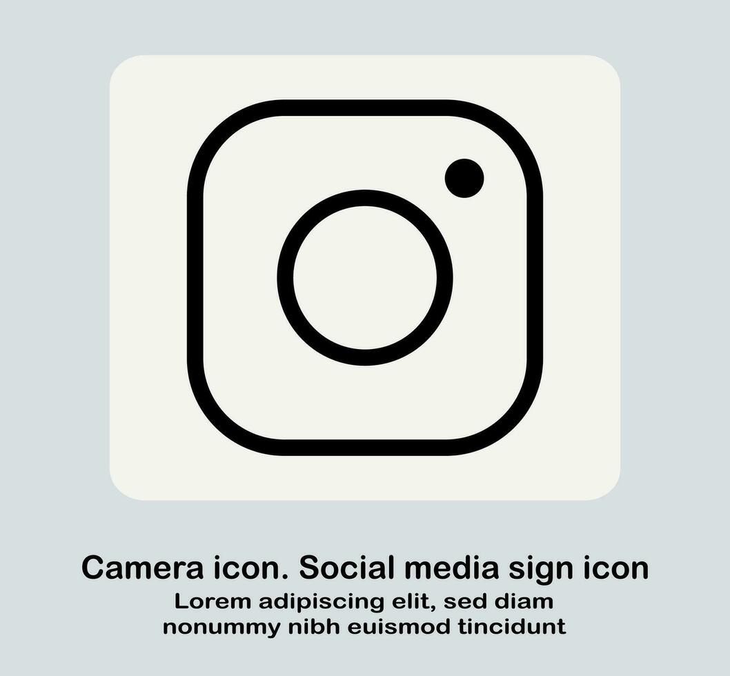telecamera icona. sociale media cartello icona. campione grigio instagram logo. telecamera simbolo vettore illustrazione.