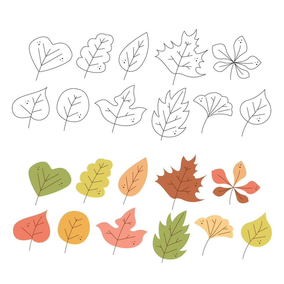 impostato di undici astratto autunno le foglie. nero e bianca e colore clipart vettore illustrazione.