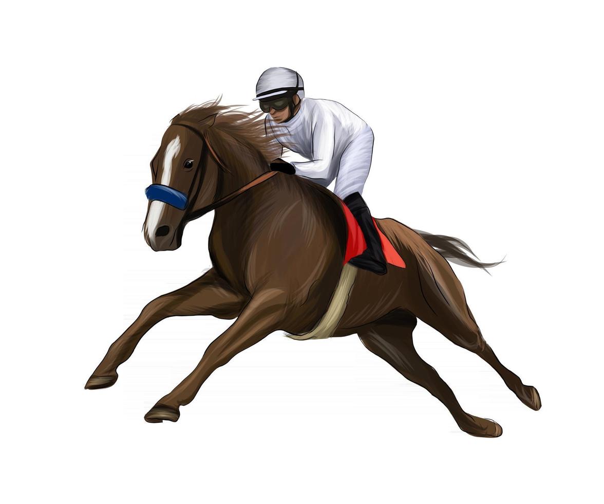corsa di cavalli con un fantino da schizzi di acquerelli, disegno colorato, realistico, equitazione. illustrazione vettoriale di vernici