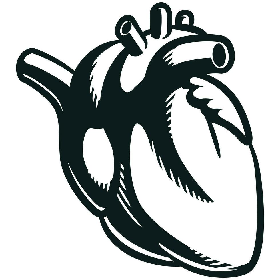 silhouette umano cuore interno cardiovascolare organo vettore
