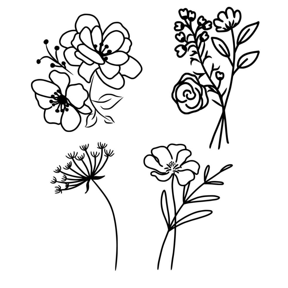 mano disegnato fiori scarabocchio di rosa, ciliegia fiore, coneflower e gelsomino vettore
