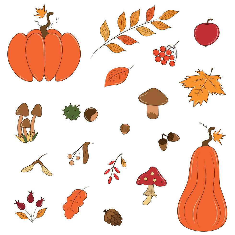 carino impostato di autunno clipart impianti e le foglie vettore