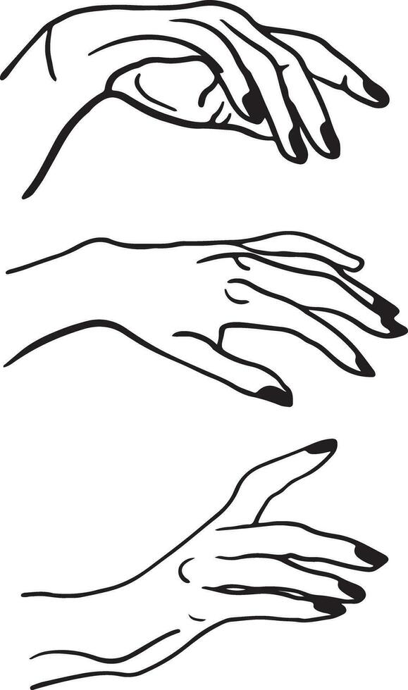mani vettore grafica. vario gesti di umano mani siamo isolato su un' bianca sfondo. vettore piatto illustrazione di Da donna mani nel vario situazioni.