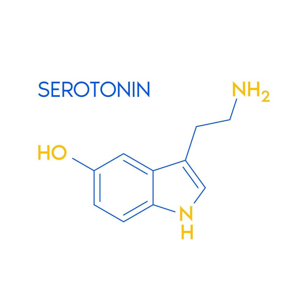 serotonina strutturale chimico formula isolato su bianca sfondo. ormone melatonina promuovere in profondità dormire. medico scientifico concetti. vettore eps10 illustrazione.