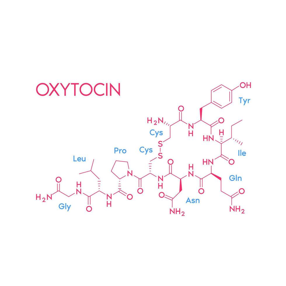 ossitocina strutturale chimico formula isolato su bianca sfondo. ormone nel umano cervello. medico scientifico concetti. vettore eps10 illustrazione.