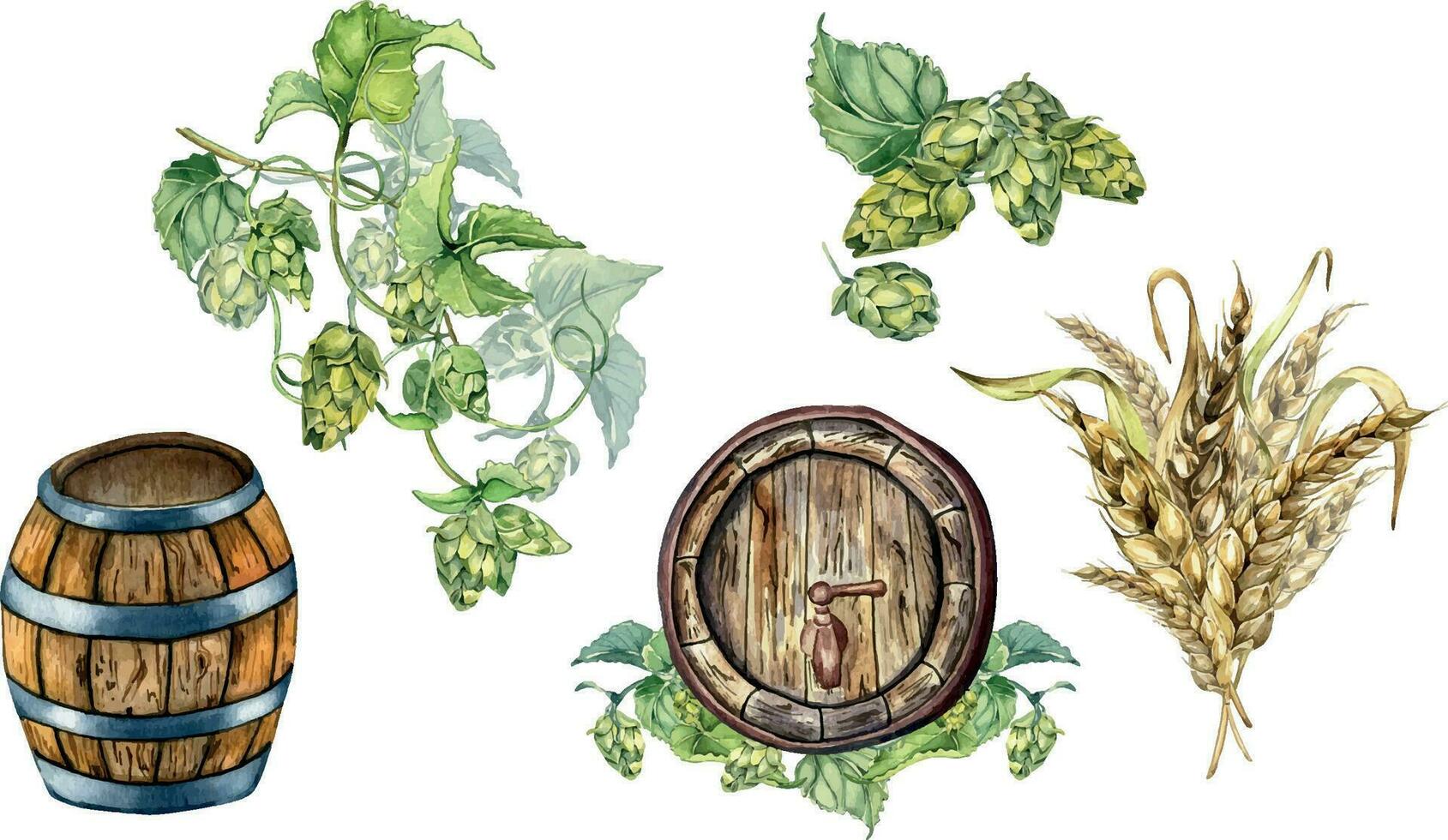 impostato di di legno birra barile e luppolo vite, Grano orecchio acquerello illustrazione isolato su bianca. Vintage ▾ vettore